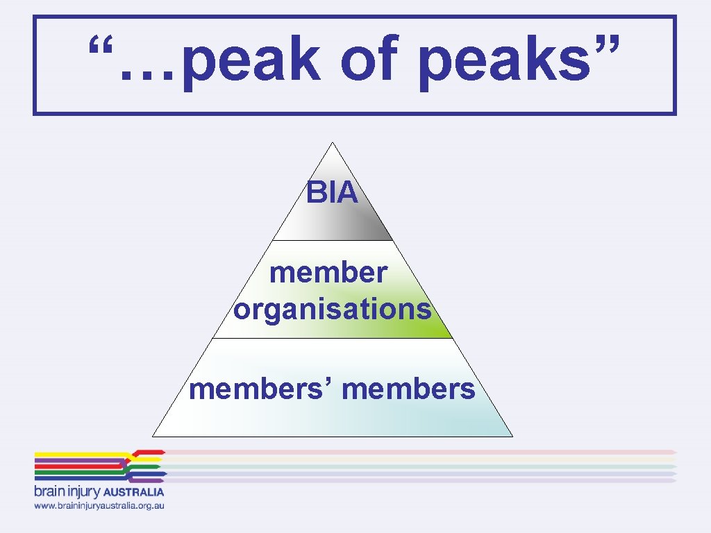 “…peak of peaks” BIA member organisations members’ members 