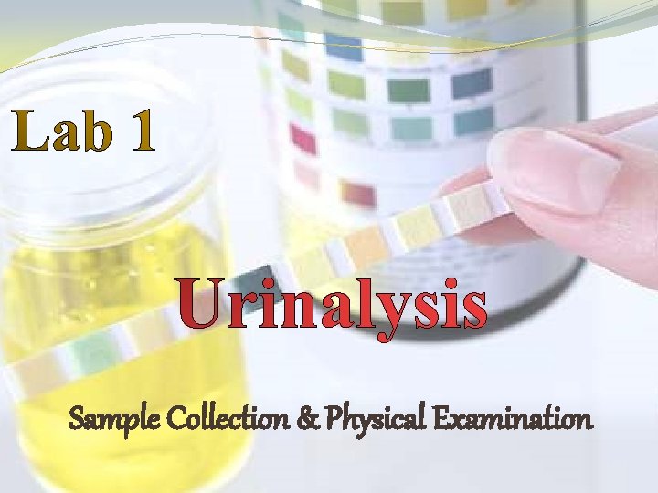 Sample Collection & Physical Examination 