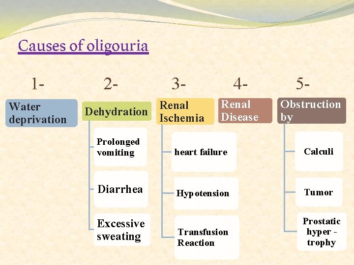 Causes of oligouria 1 Water deprivation 2 Dehydration 3 - 4 - Renal Ischemia