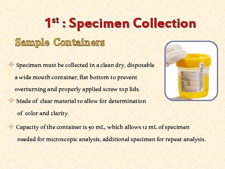 1 st : Specimen Collection Sample Containers ² Specimen must be collected in a