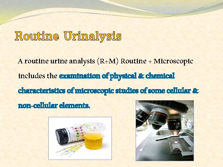 Routine Urinalysis A routine urine analysis (R+M) Routine + Microscopic includes the examination of