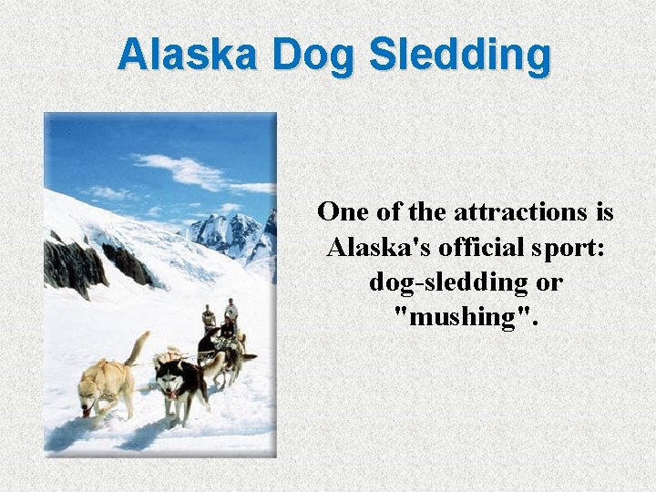 Alaska Dog Sledding One of the attractions is Alaska's official sport: dog-sledding or "mushing".