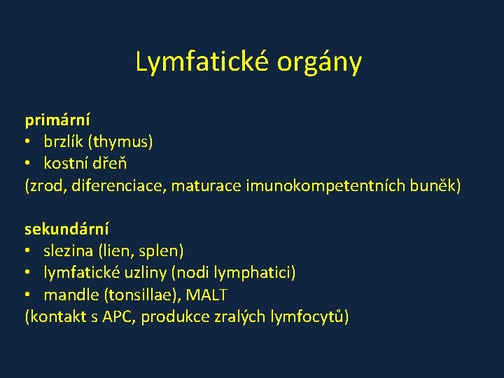 Lymfatické orgány primární • brzlík (thymus) • kostní dřeň (zrod, diferenciace, maturace imunokompetentních buněk)