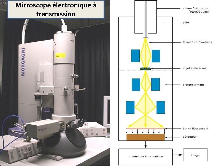 Microscope électronique à transmission Microscope électronique à transmission