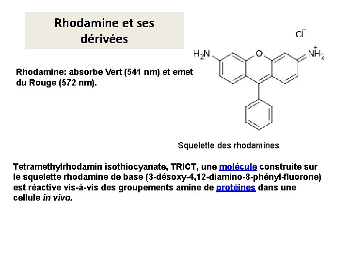 Rhodamine et ses dérivées Rhodamine: absorbe Vert (541 nm) et emet du Rouge (572 Rhodamine et ses dérivées Rhodamine: absorbe Vert (541 nm) et emet du Rouge (572