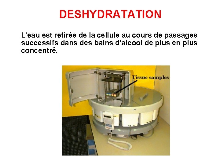 DESHYDRATATION L'eau est retirée de la cellule au cours de passages successifs dans des DESHYDRATATION L'eau est retirée de la cellule au cours de passages successifs dans des