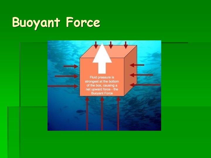 Buoyant Force 