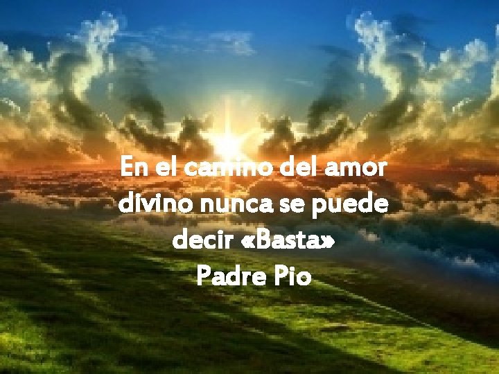 En el camino del amor divino nunca se puede decir «Basta» Padre Pio 