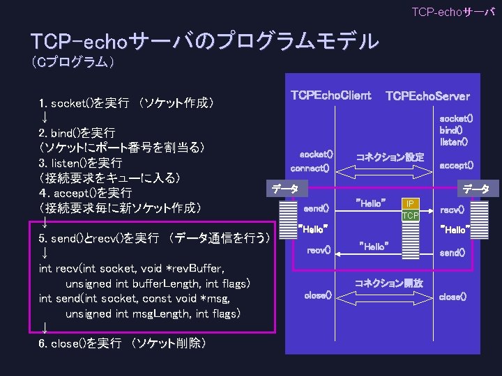 Tcpecho C Tcpecho Client Tcpecho Server 1 Socket