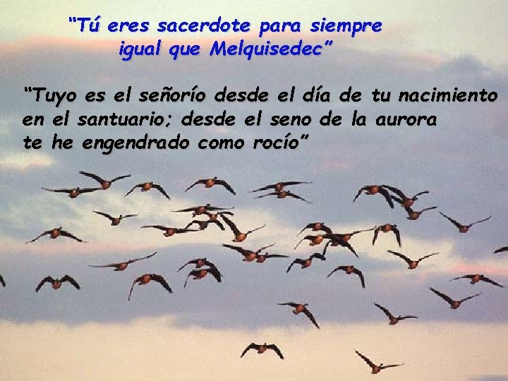 “Tú eres sacerdote para siempre igual que Melquisedec” “Tuyo es el señorío desde el