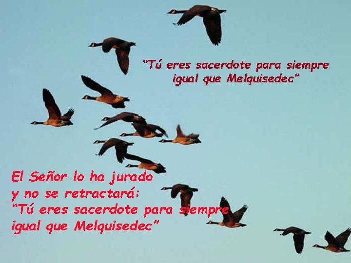 “Tú eres sacerdote para siempre igual que Melquisedec” El Señor lo ha jurado y