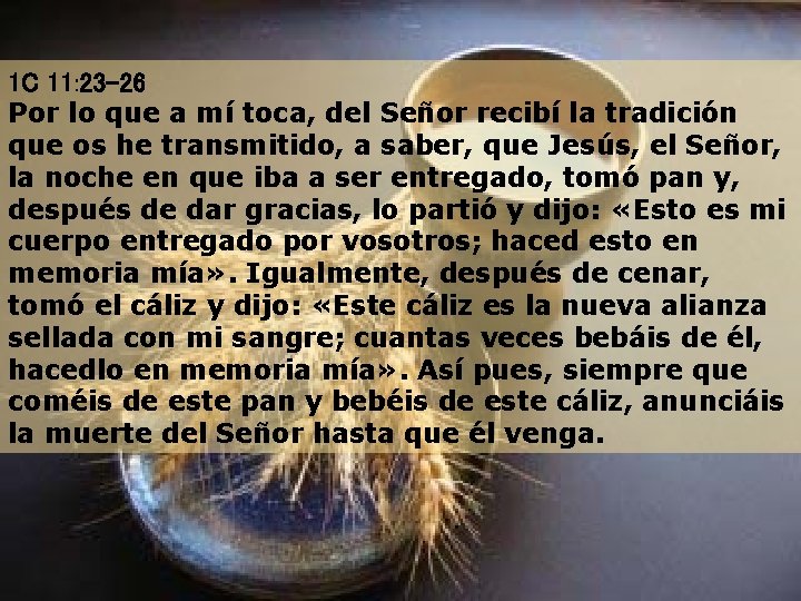 1 C 11: 23 -26 Por lo que a mí toca, del Señor recibí