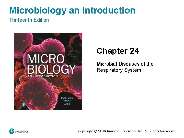 Microbiology an Introduction Thirteenth Edition Chapter 24 Microbial Diseases of the Respiratory System Copyright
