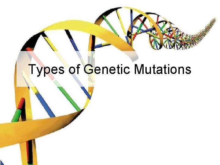 Types of Genetic Mutations 