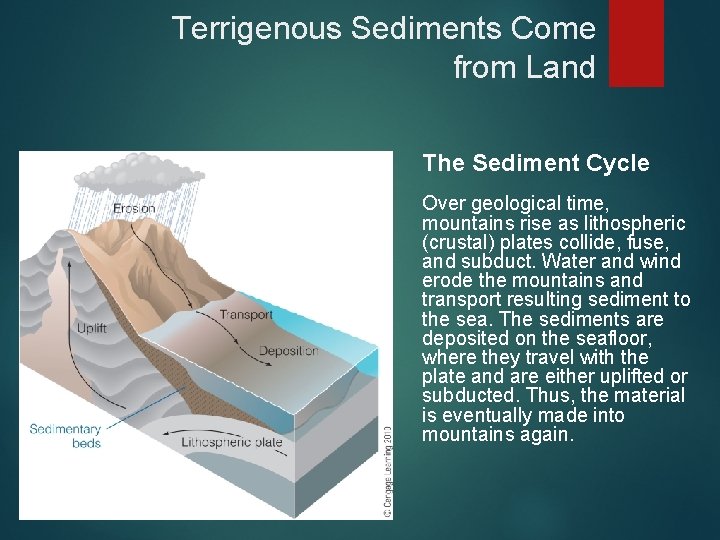 Terrigenous Sediments Come from Land The Sediment Cycle Over geological time, mountains rise as