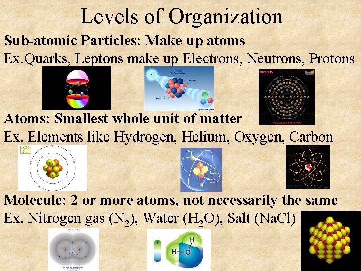 Levels of Organization Sub-atomic Particles: Make up atoms Ex. Quarks, Leptons make up Electrons,