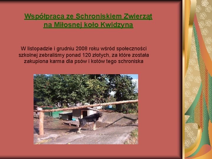 Współpraca ze Schroniskiem Zwierząt na Miłosnej koło Kwidzyna W listopadzie i grudniu 2008 roku