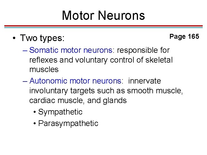 Motor Neurons • Two types: Page 165 – Somatic motor neurons: responsible for reflexes Motor Neurons • Two types: Page 165 – Somatic motor neurons: responsible for reflexes