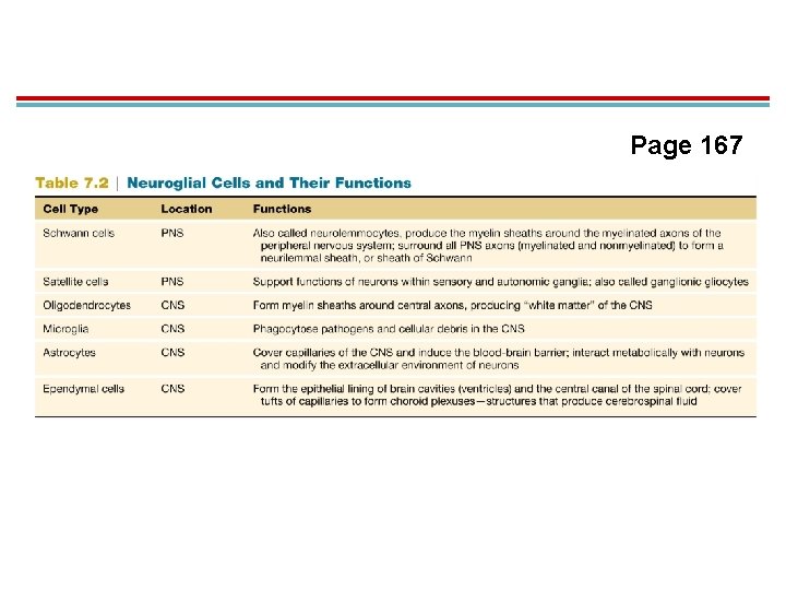 Page 167 Page 167