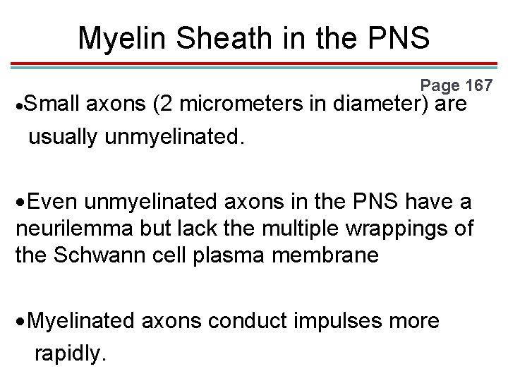Myelin Sheath in the PNS Small Page 167 axons (2 micrometers in diameter) are Myelin Sheath in the PNS Small Page 167 axons (2 micrometers in diameter) are