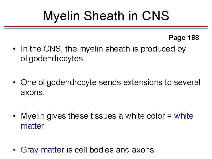 Myelin Sheath in CNS Page 168 • In the CNS, the myelin sheath is Myelin Sheath in CNS Page 168 • In the CNS, the myelin sheath is