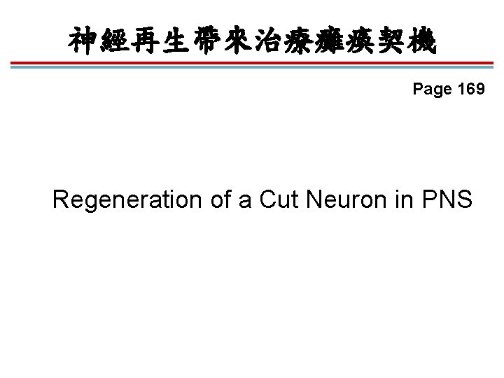 神經再生帶來治療癱瘓契機 Page 169 Regeneration of a Cut Neuron in PNS 神經再生帶來治療癱瘓契機 Page 169 Regeneration of a Cut Neuron in PNS