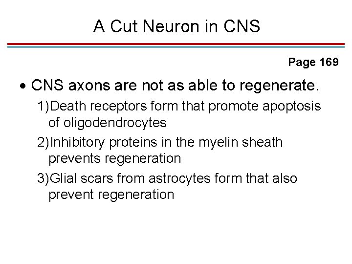 A Cut Neuron in CNS Page 169 CNS axons are not as able to A Cut Neuron in CNS Page 169 CNS axons are not as able to