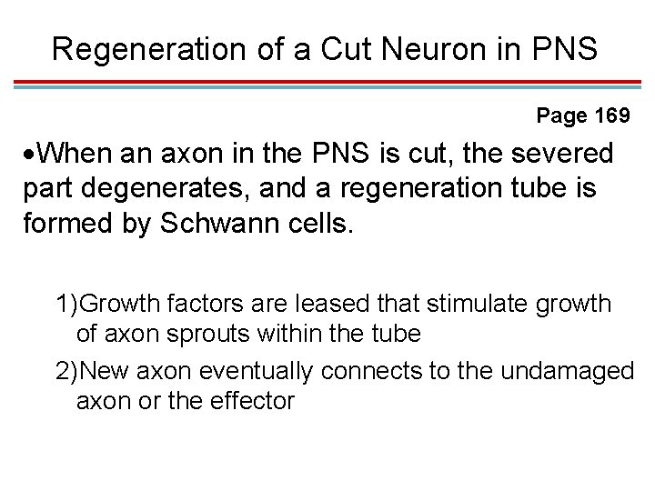Regeneration of a Cut Neuron in PNS Page 169 When an axon in the Regeneration of a Cut Neuron in PNS Page 169 When an axon in the