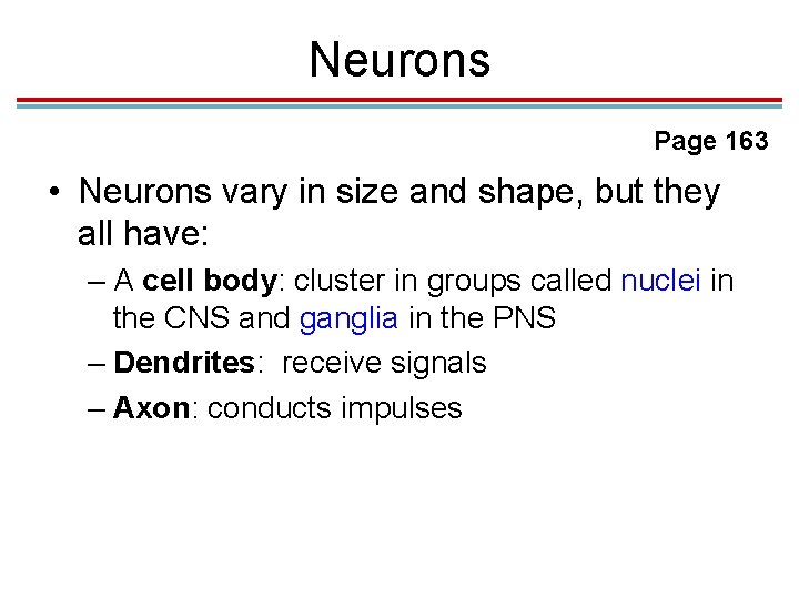 Neurons Page 163 • Neurons vary in size and shape, but they all have: Neurons Page 163 • Neurons vary in size and shape, but they all have: