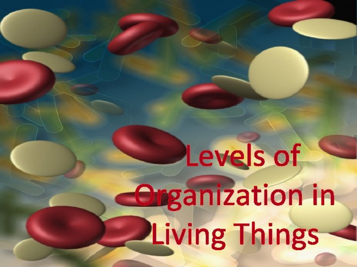 Levels of Organization in Living Things 