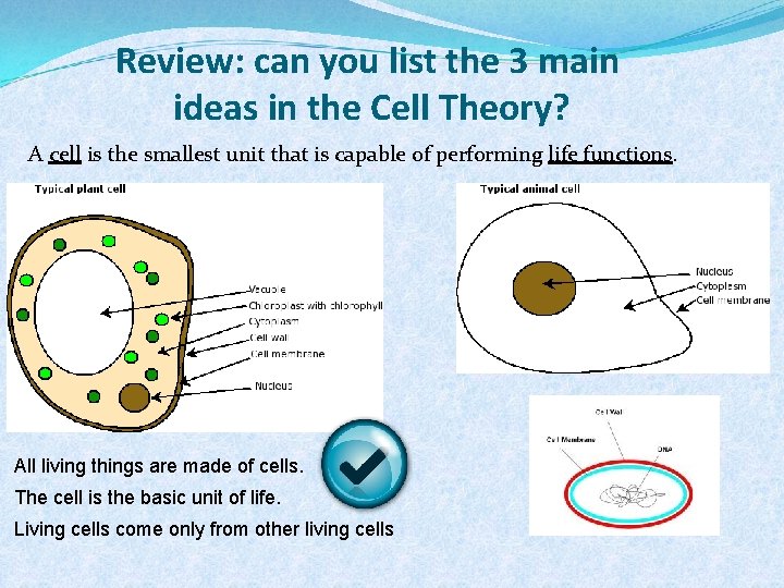 Review: can you list the 3 main ideas in the Cell Theory? A cell