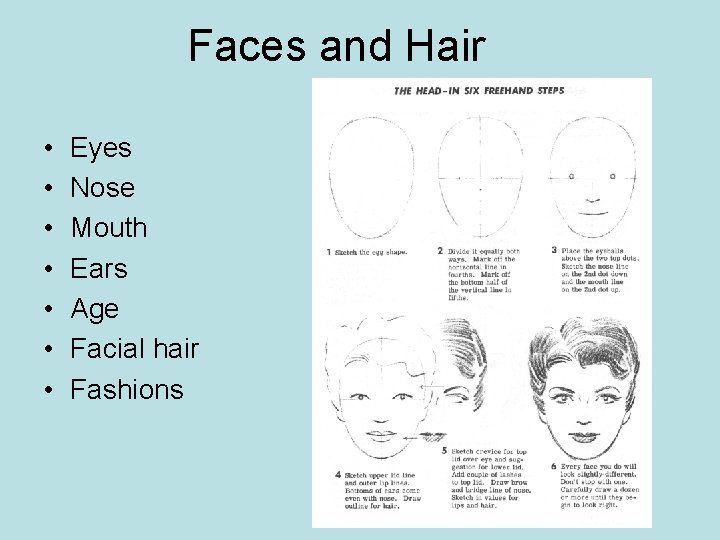Faces and Hair • • Eyes Nose Mouth Ears Age Facial hair Fashions 