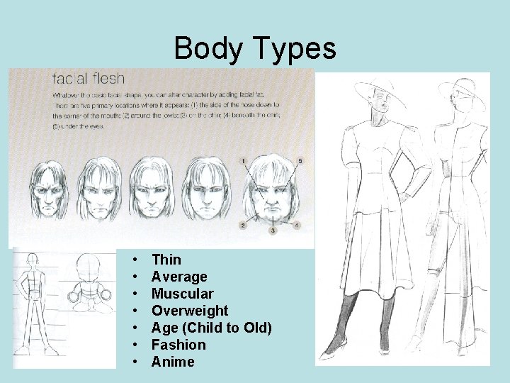 Body Types • • Thin Average Muscular Overweight Age (Child to Old) Fashion Anime