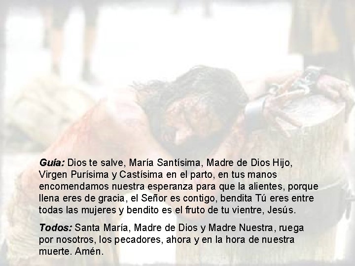 Guía: Dios te salve, María Santísima, Madre de Dios Hijo, Virgen Purísima y Castísima