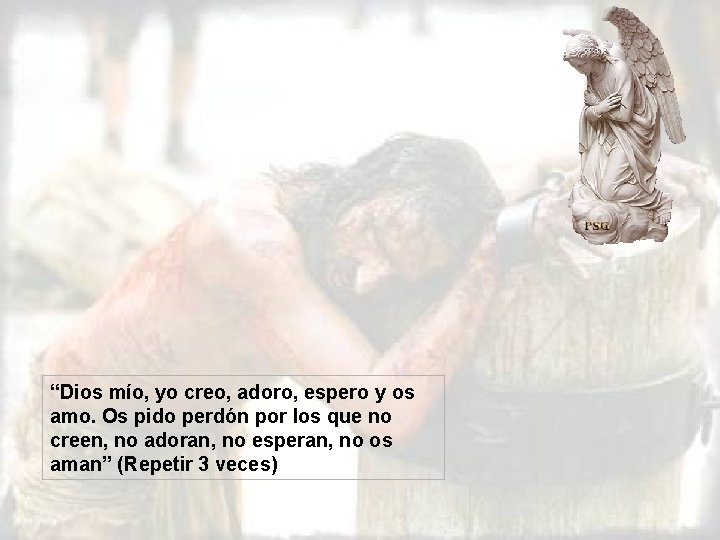 “Dios mío, yo creo, adoro, espero y os amo. Os pido perdón por los