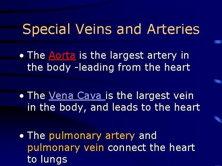 Special Veins and Arteries • The Aorta is the largest artery in the body