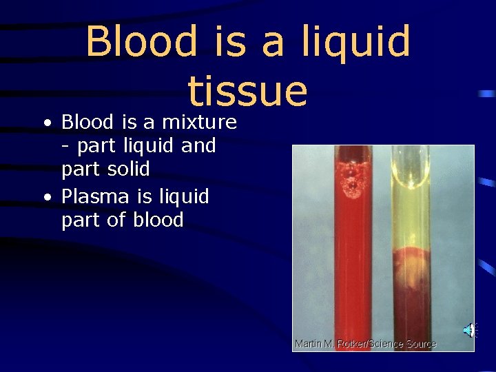 Blood is a liquid tissue • Blood is a mixture - part liquid and