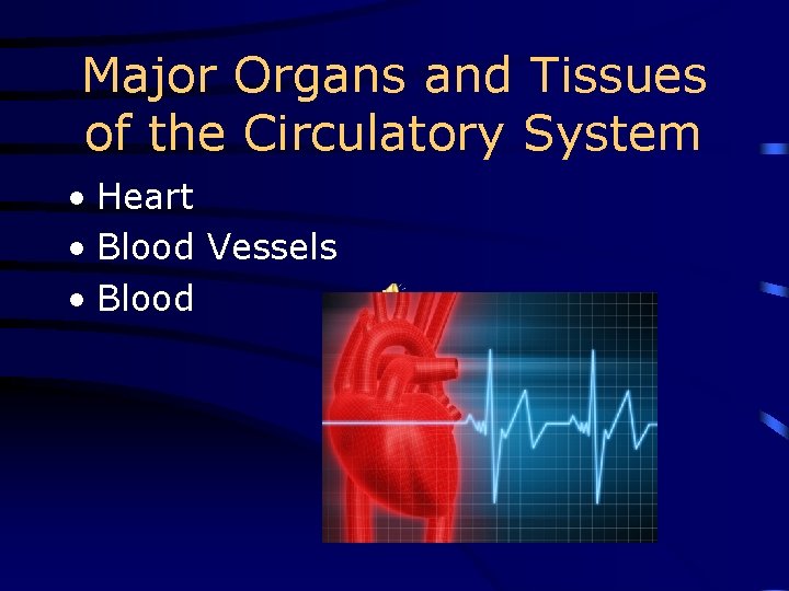 Major Organs and Tissues of the Circulatory System • Heart • Blood Vessels •