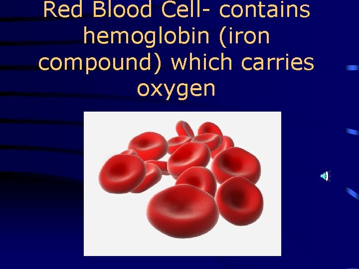 Red Blood Cell- contains hemoglobin (iron compound) which carries oxygen 