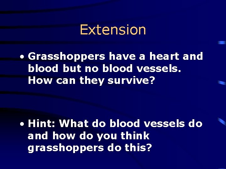 Extension • Grasshoppers have a heart and blood but no blood vessels. How can