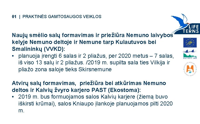 01 | PRAKTINĖS GAMTOSAUGOS VEIKLOS Naujų smėlio salų formavimas ir priežiūra Nemuno laivybos kelyje