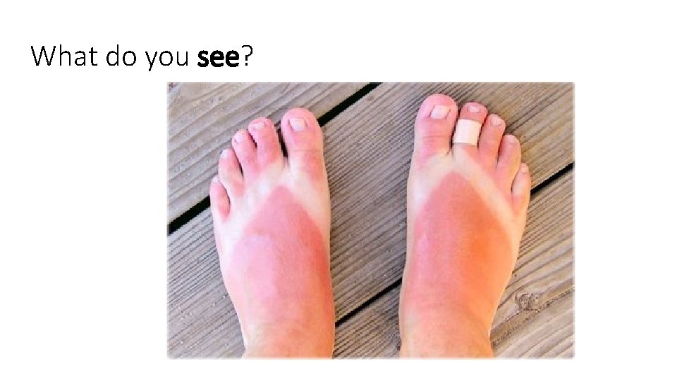 What do you see? 