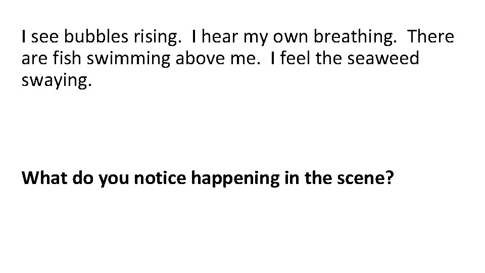 I see bubbles rising. I hear my own breathing. There are fish swimming above