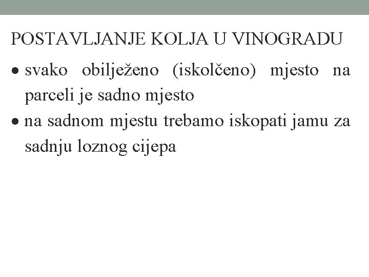 POSTAVLJANJE KOLJA U VINOGRADU svako obilježeno (iskolčeno) mjesto na parceli je sadno mjesto na