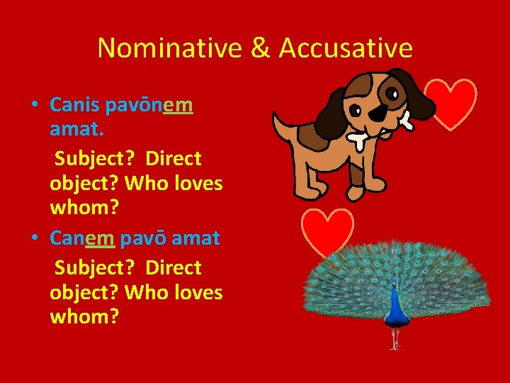 Nominative & Accusative • Canis pavōnem amat. Subject? Direct object? Who loves whom? • Nominative & Accusative • Canis pavōnem amat. Subject? Direct object? Who loves whom? •