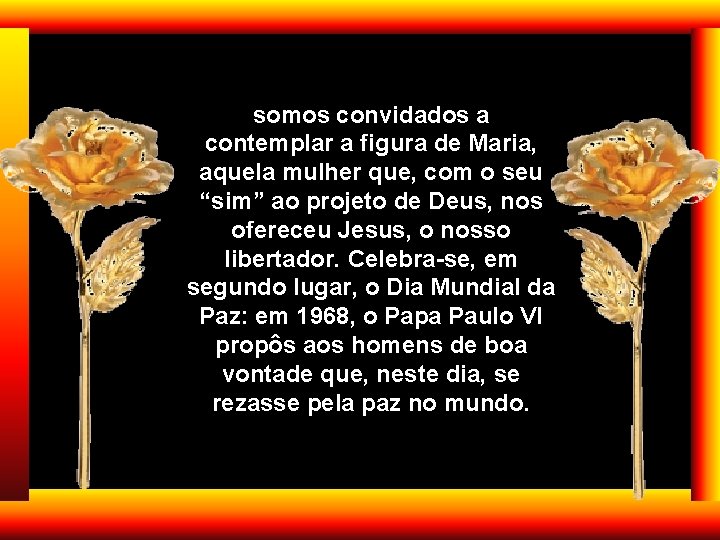 somos convidados a contemplar a figura de Maria, aquela mulher que, com o seu