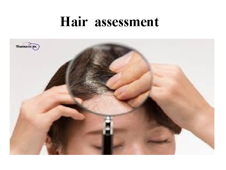 Hair assessment 
