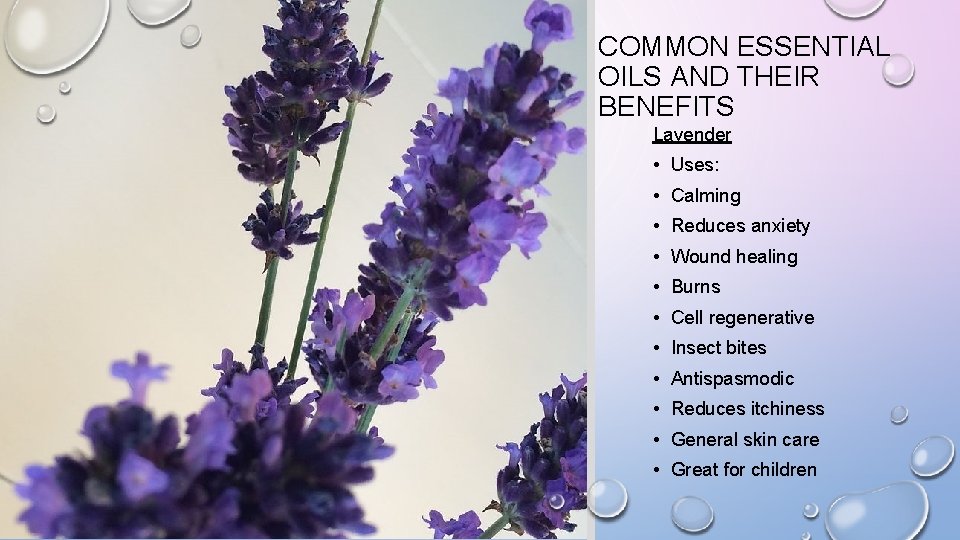COMMON ESSENTIAL OILS AND THEIR BENEFITS Lavender • Uses: • Calming • Reduces anxiety