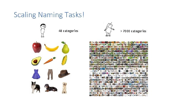 Scaling Naming Tasks! 48 categories > 7000 categories 