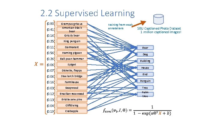 2. 2 Supervised Learning (0. 80) (0. 16) Grampus griseus American black bear Grizzly